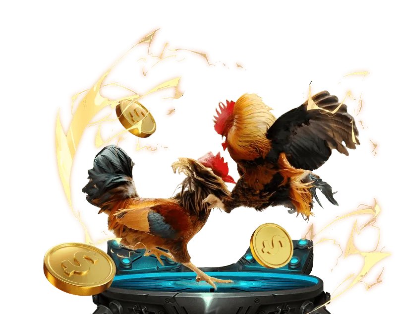 Hình ảnh trò chơi đá gà vnsoxo